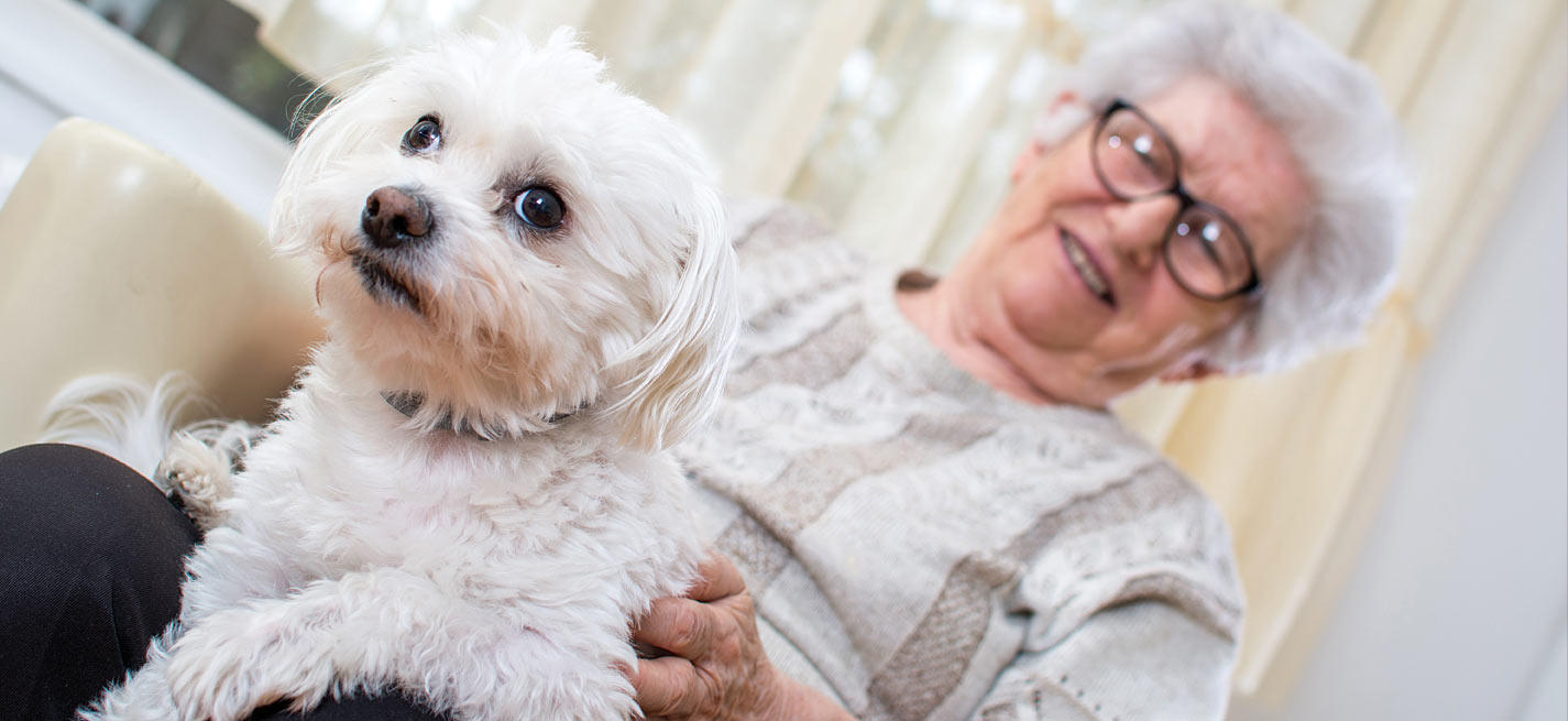 Chien et retraitée