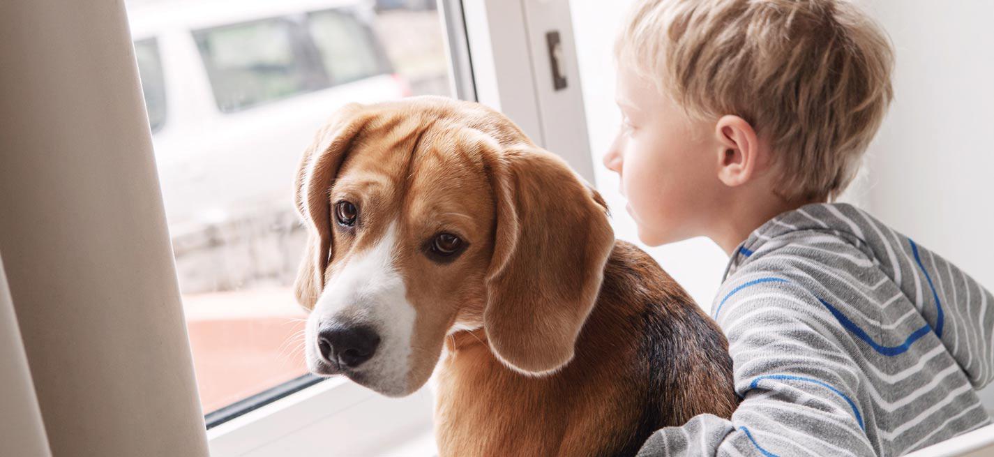 Un enfant avec son chien regardant à l’extérieur à travers une fenêtre