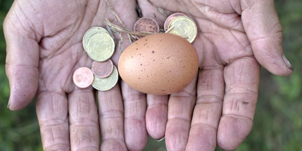 budget ministère de l'agriculture