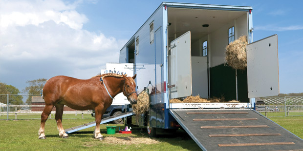 Un camion pour le transport de chevaux