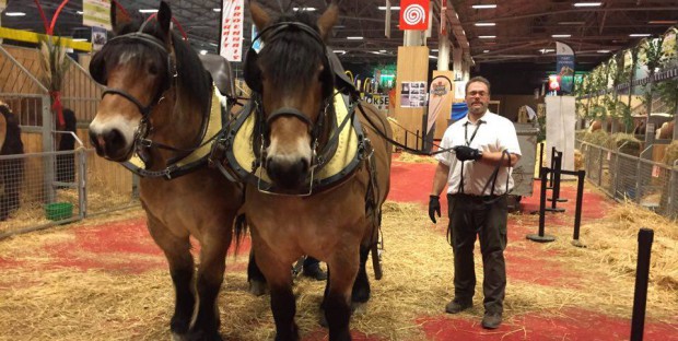 Hubert Vin et ses chevaux ardennais