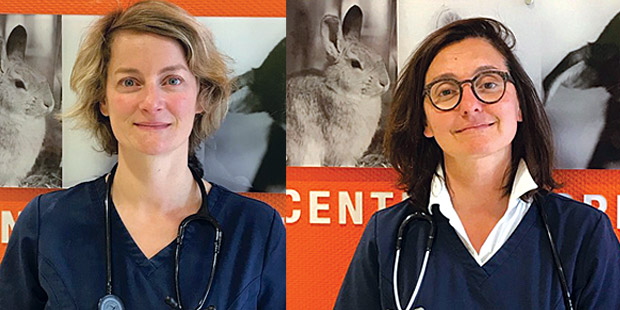 Hélène Kolb (à gauche) et Isabelle Testault, praticiennes au centre hospitalier vétérinaire Atlantia à Nantes (Loire-Atlantique).