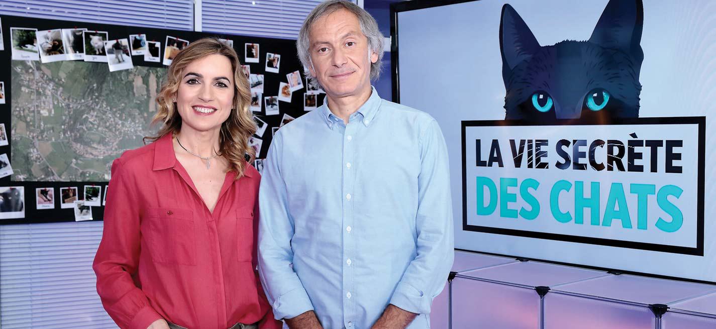 Les vétérinaires Laëtitia Barlerin et Thierry Bedossa décryptent le comportement de 100 chats 