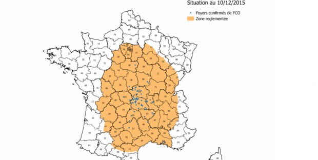 carte représentant les zones réglementées en jaune, et les foyers en bleu