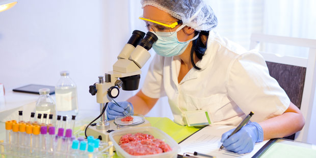 Une laborantine analyse de la viande au microscope