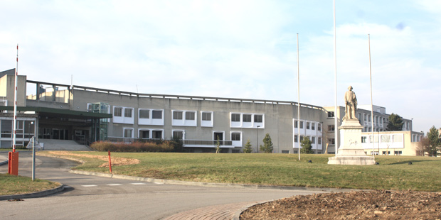 ecole vétérinaire de Lyon 