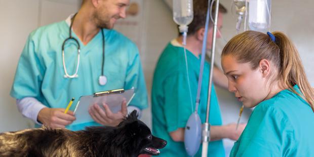 Complémentaire santé obligatoire, un an après