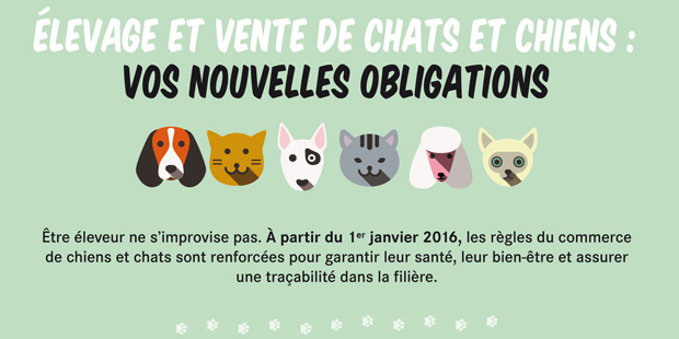 affiche nouvelle réglementation vente chiens et chats