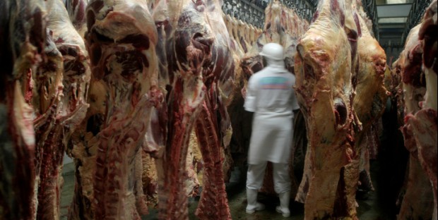 Travail en abattoir