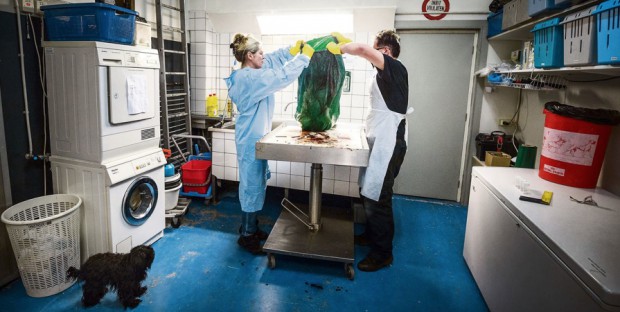 Monique Verkerk et Franck Van De Goot avec le chien pisteur Bubbels