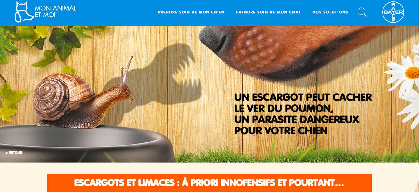 campagne «Ver du poumon-Non merci »