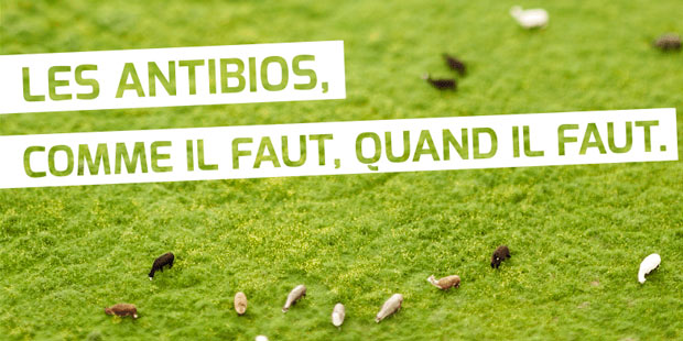 Campagne antibios