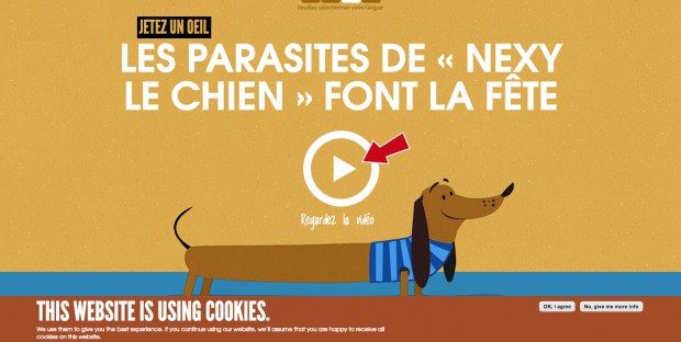 Vidéo Merial de sensibilisation au parasitisme des animaux de compagnie