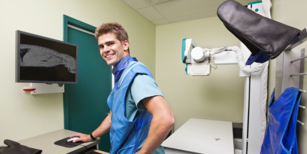 Vétérinaire en salle de radiologie