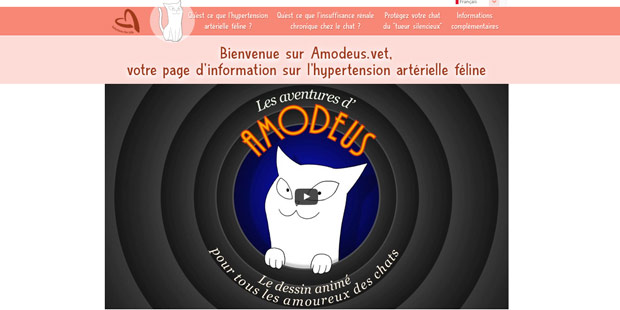 site amodeusvet.fr