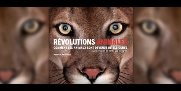 Révolutions animales