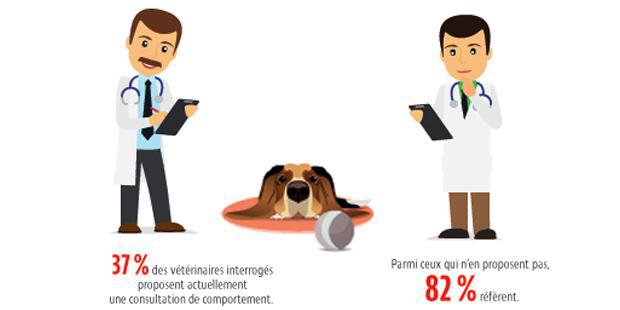 Infographies sur le comportement animal