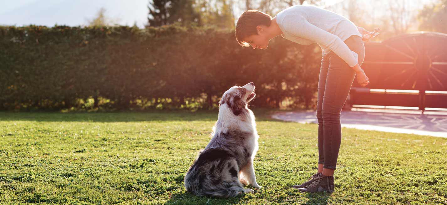 Maître avec son chien qui saute sur lui