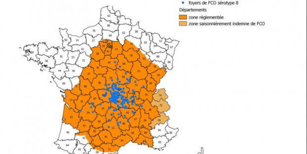 carte représentant la zone réglementée en orange, et les foyers en bleu