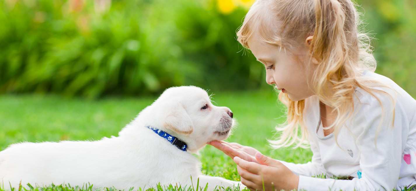 enfant jouant avec un chien