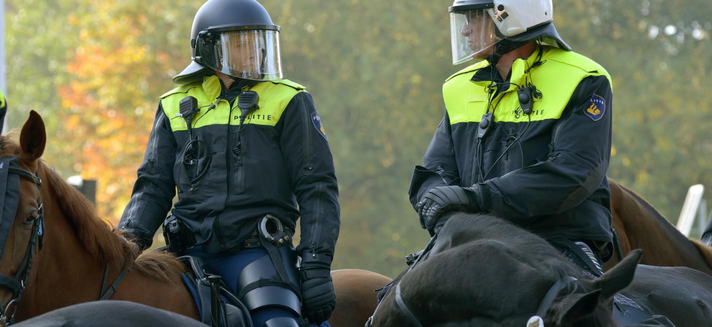 chevaux policiers