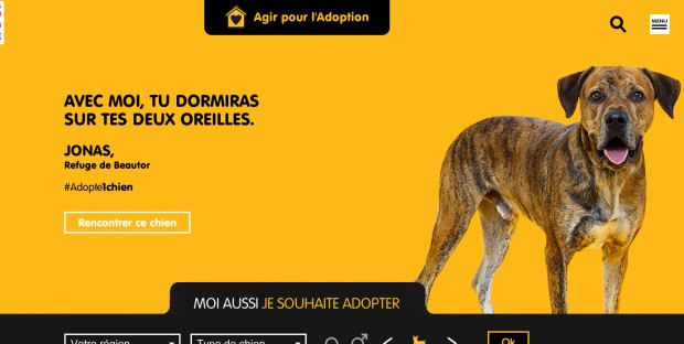 campagne de sensibilisation sur l'adoption