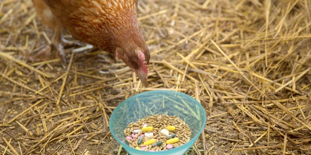 Surveillance de l'usage des antibiotiques