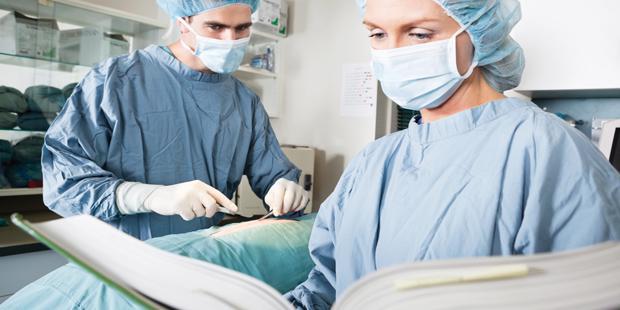 En salle de chirurgie, 2 vétérinaires dont un avec un livre entre les mains