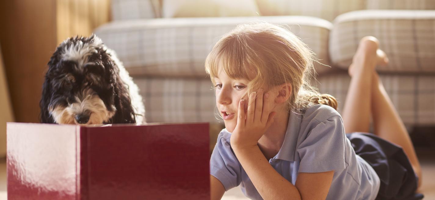 Lecture enfant et chien