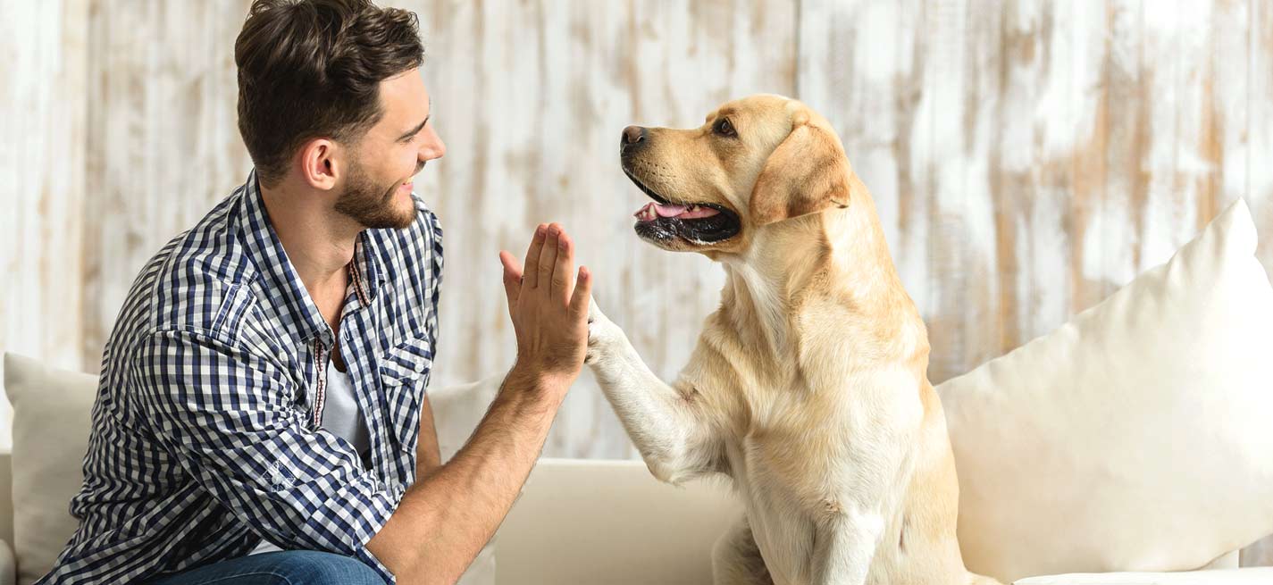 Un maître avec son chien