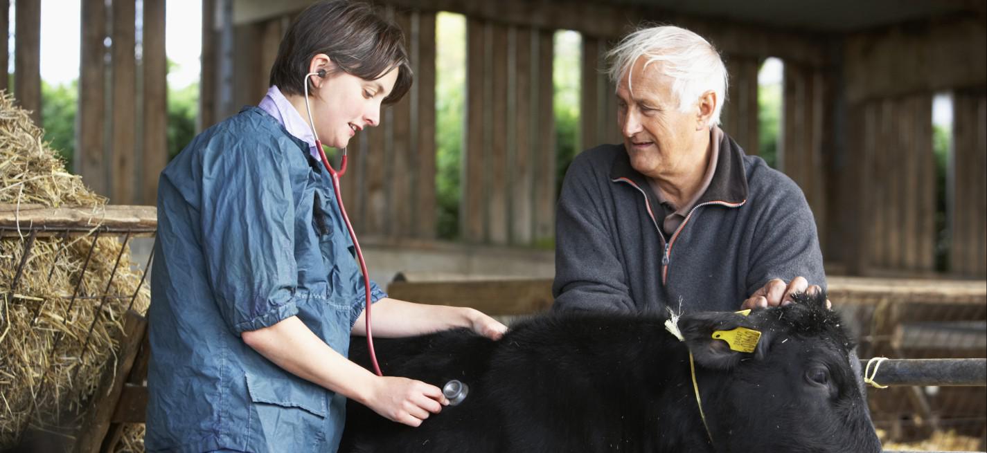 veterinaire rural