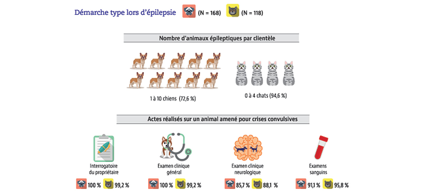 Infographies LSV