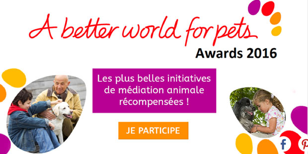 A better world for pets award