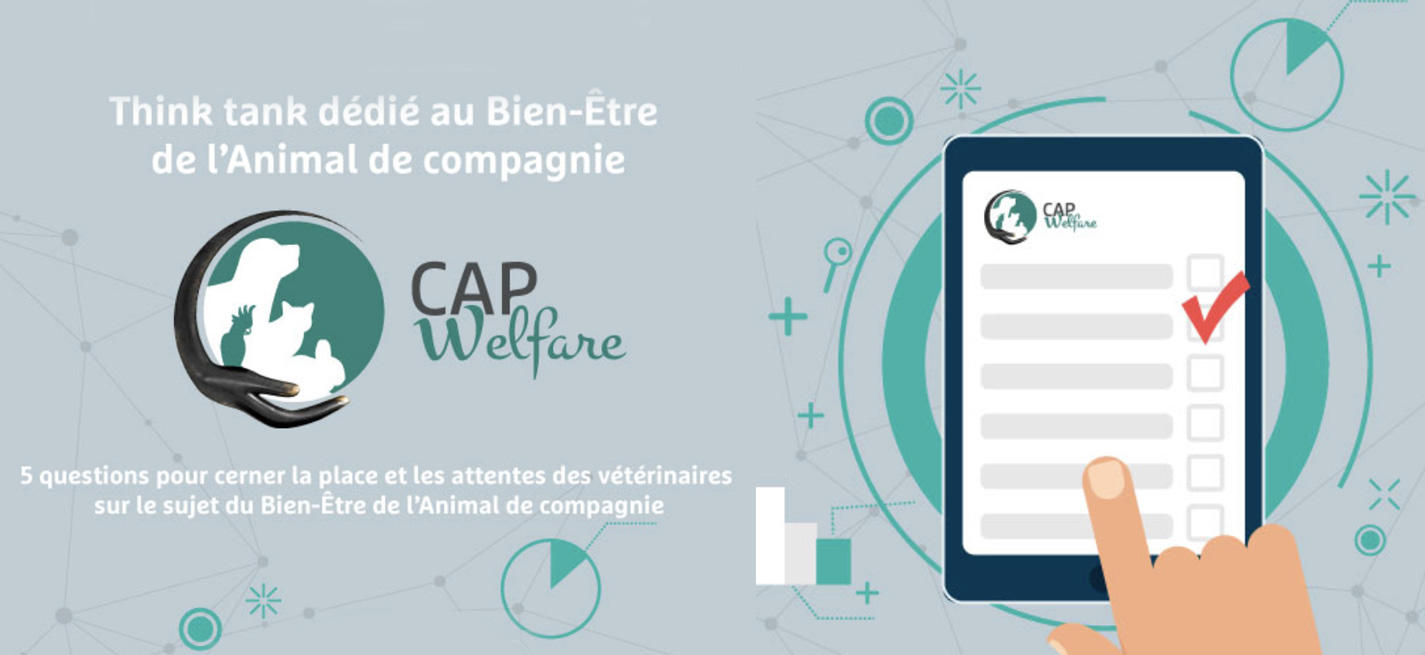 enquête CAP welfare