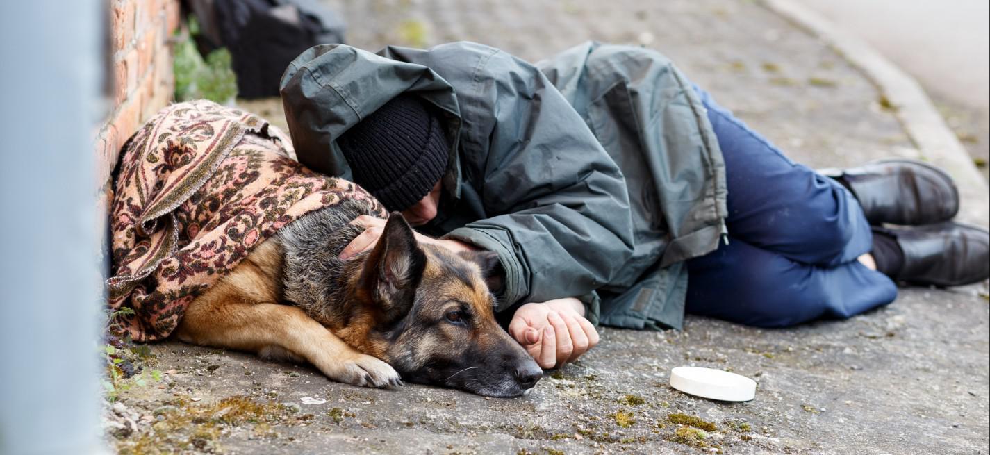 SDF et chien