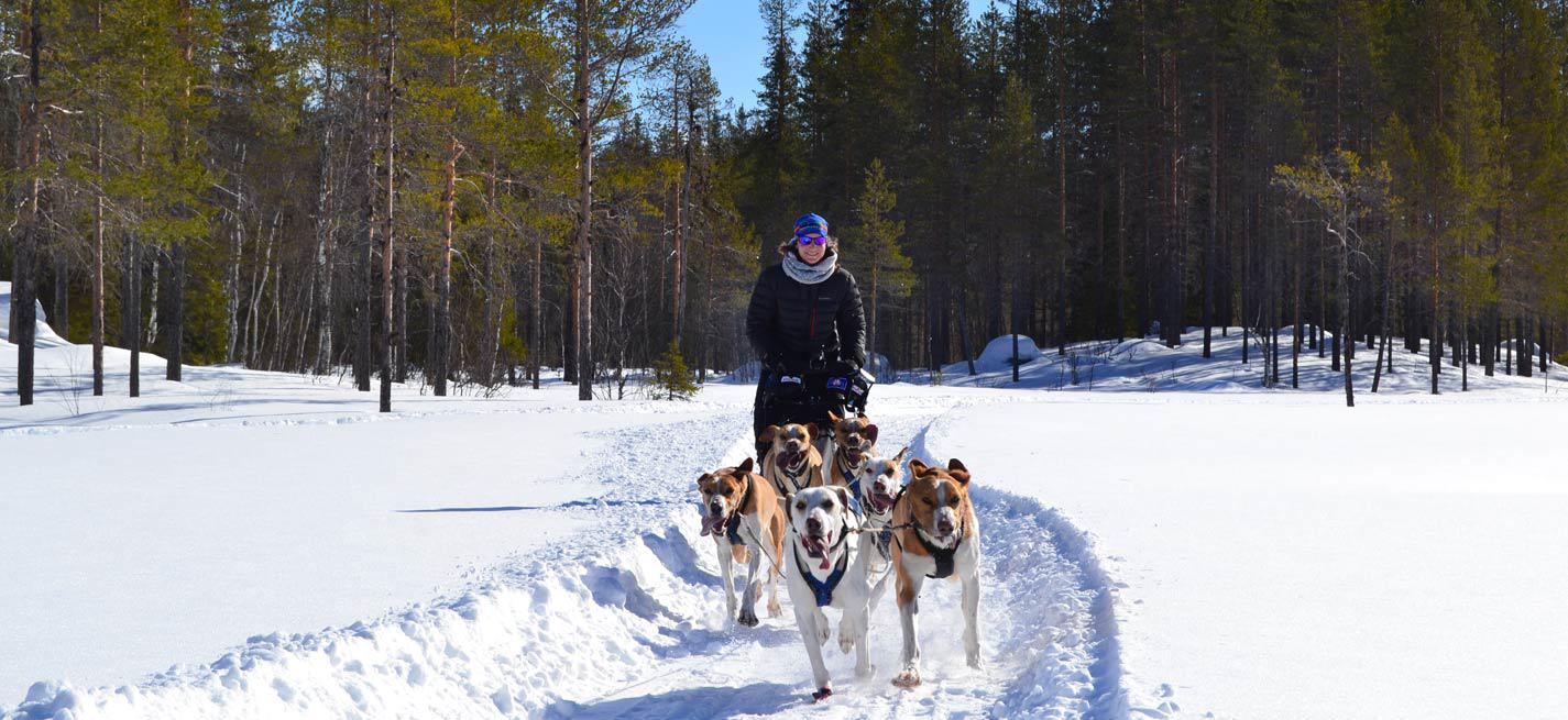 Aurélie Delattre, vétérinaire et musher