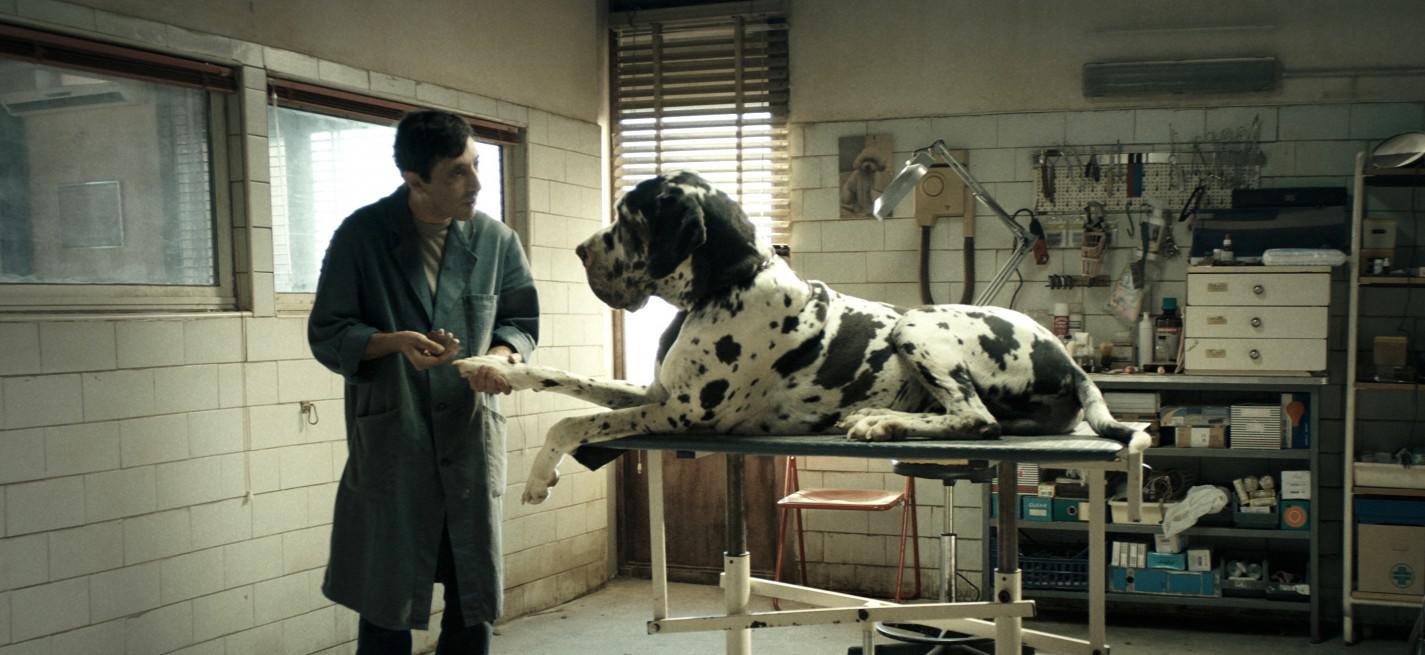 Image du film Dogman