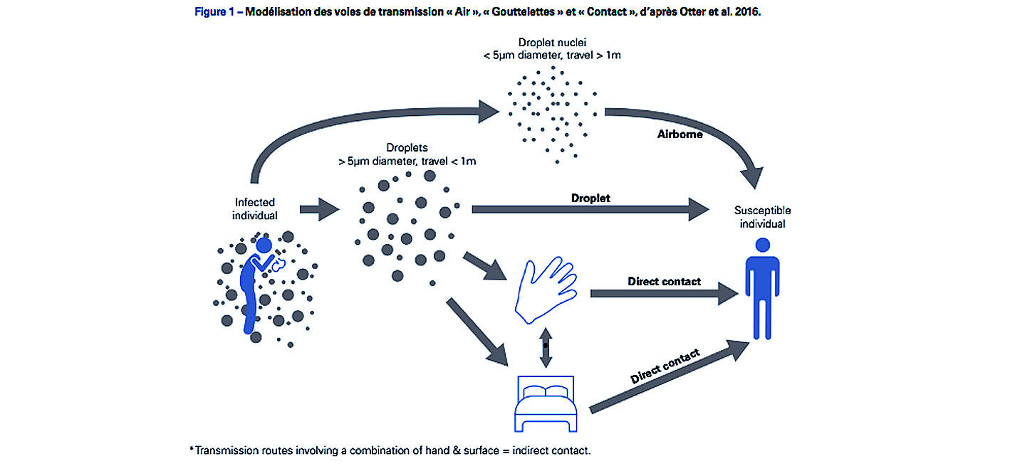 coronavirus