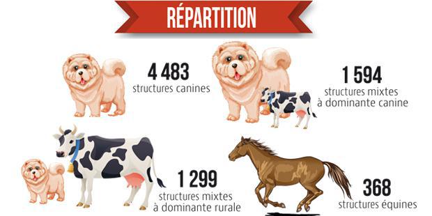 Infographie de la répartition des vétérinaires par structure