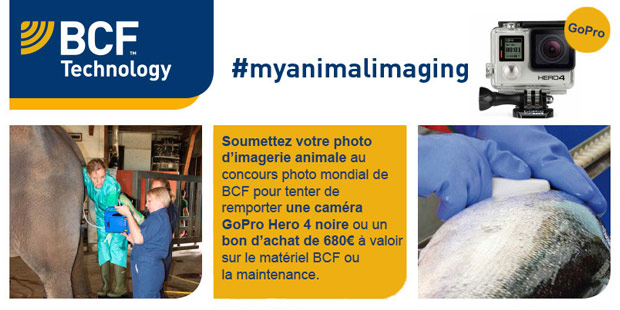 flyer de présentation du concours de photos d'imagerie vétérinaire BCF