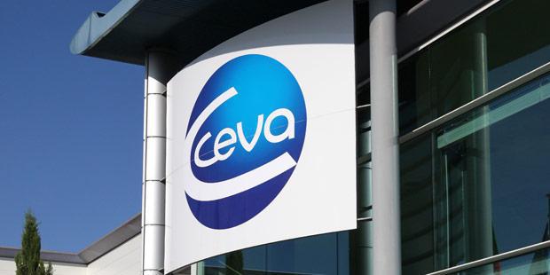 Ceva Libourne