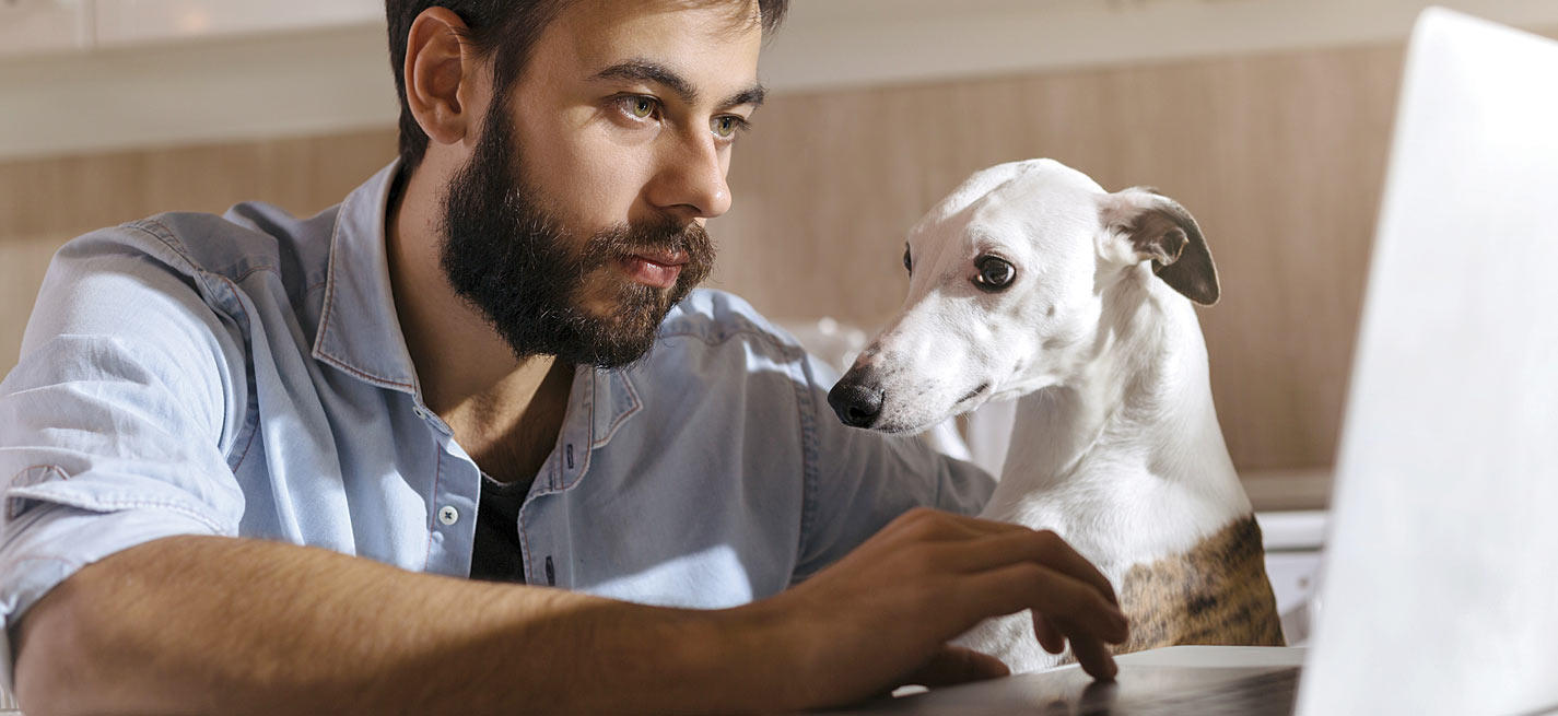 Propriétaire qui achète sur internet l'alimentation pour son chien