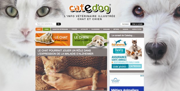 Home du site Catedog