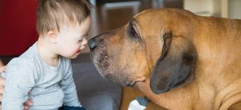 Petit garçon trisomique jouant avec un chien