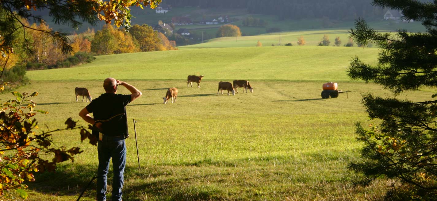 ferme