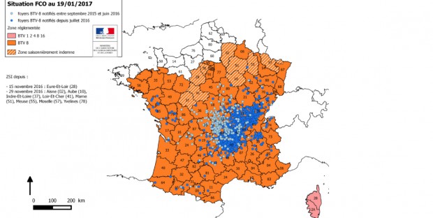 Carte des zones réglementées vis ) vis de la FCO