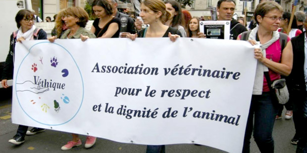 manifestation pour la cause animal