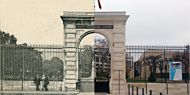 L’école d’Alfort avant et après