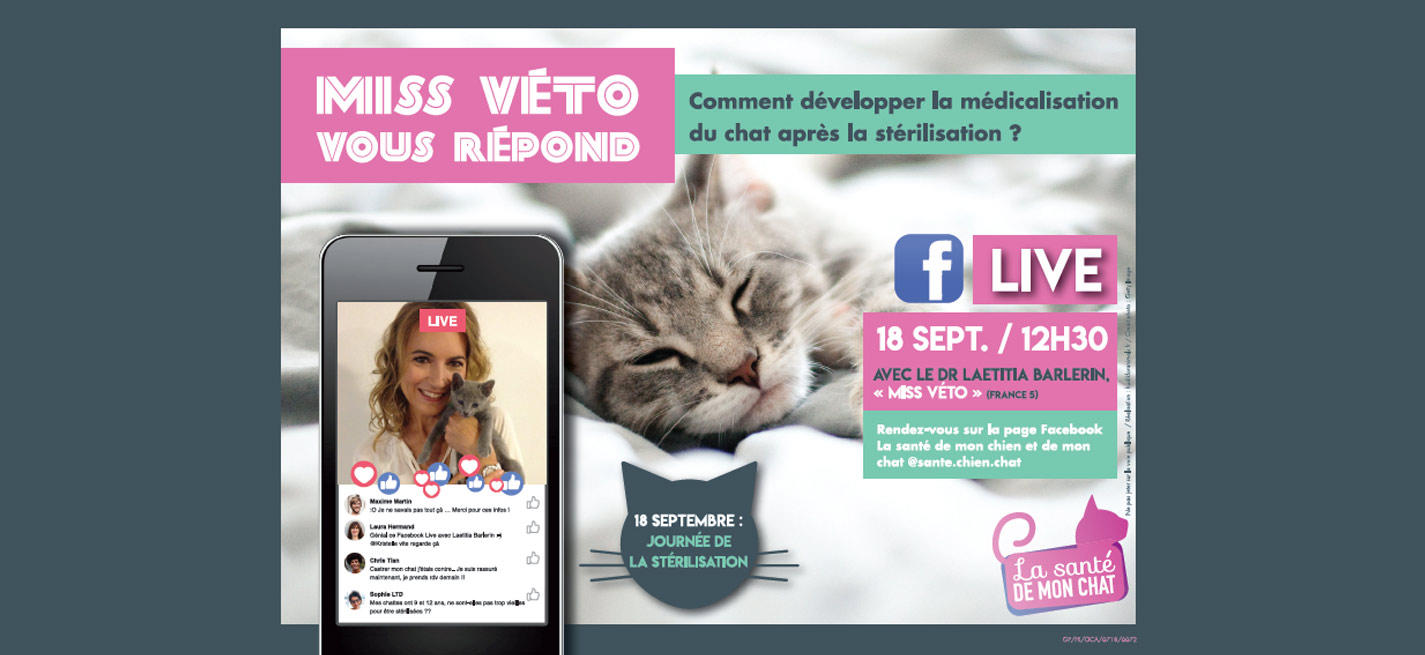 Facebook live stérilisation du chat