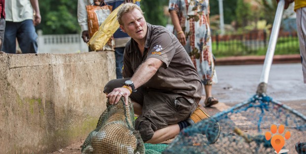 Luke Gamble, lauréat du prix de la WSAVA pour sa mission contre la rage